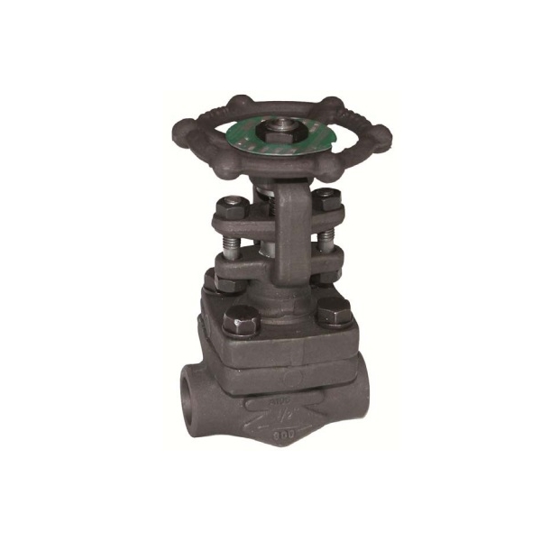 404 – Robinet Ventil Otel Forjat 600 Lbs Burduf Inox