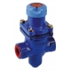 BDV25 - Reductor presiune abur fonta filet PN25