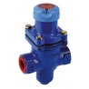 BDV25 - Reductor presiune abur fonta filet PN25