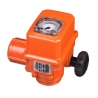 EZ6 - Actionare electrica Bernard 60 Nm