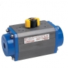 AP - Actionare pneumatica