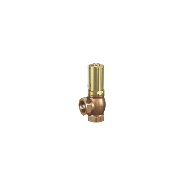 617 - Overflow bronz