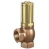 617 - Overflow bronz